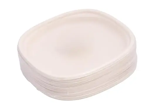 Eco-friendly dinner plates- 10 inch organic dinner plates