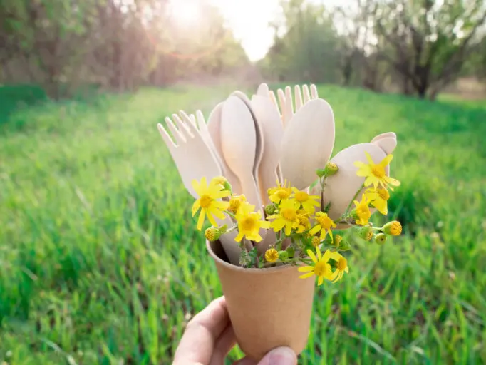 Why Choose Biodegradable Disposable Products from Biotable: A Sustainable Solution for a Greener Tomorrow