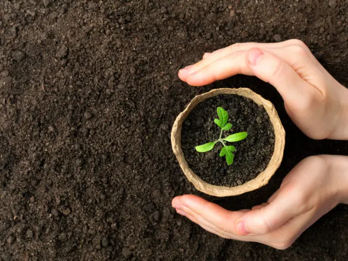 5 Essential Sustainable Terms to Know in 2024: A Guide to Eco-Friendly Living