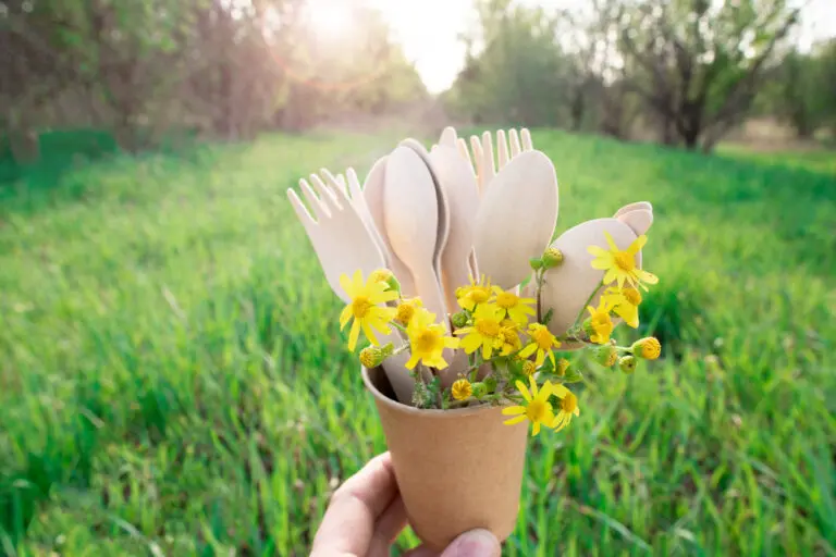 Why Choose Biodegradable Disposable Products from Biotable: A Sustainable Solution for a Greener Tomorrow