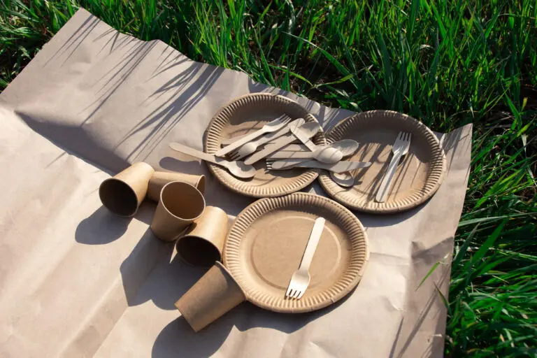 Introducing Biotable: Your Destination for Eco-Friendly Disposable Products in the UK