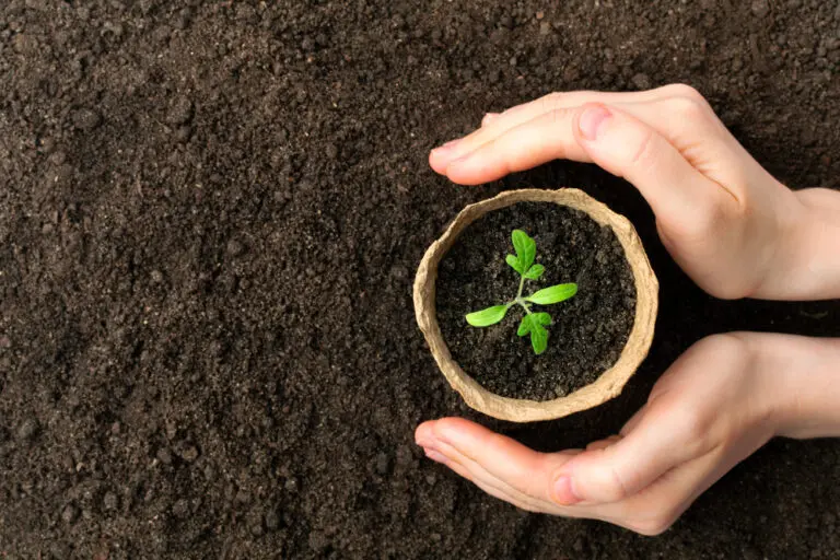 5 Essential Sustainable Terms to Know in 2024: A Guide to Eco-Friendly Living