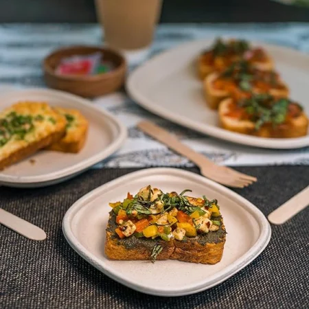 Eco-friendly dinner plates- 10 inch organic dinner plates