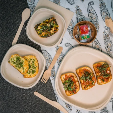 Eco-friendly dinner plates- 6 inch organic dinner plates