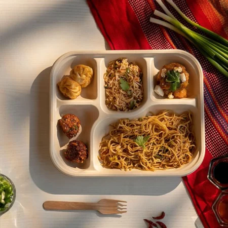 Organic Meal Trays- 5 Compartments Biodegradable Meal Plates