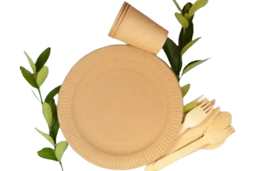 Copy_of_plate__3__1_-removebg-preview